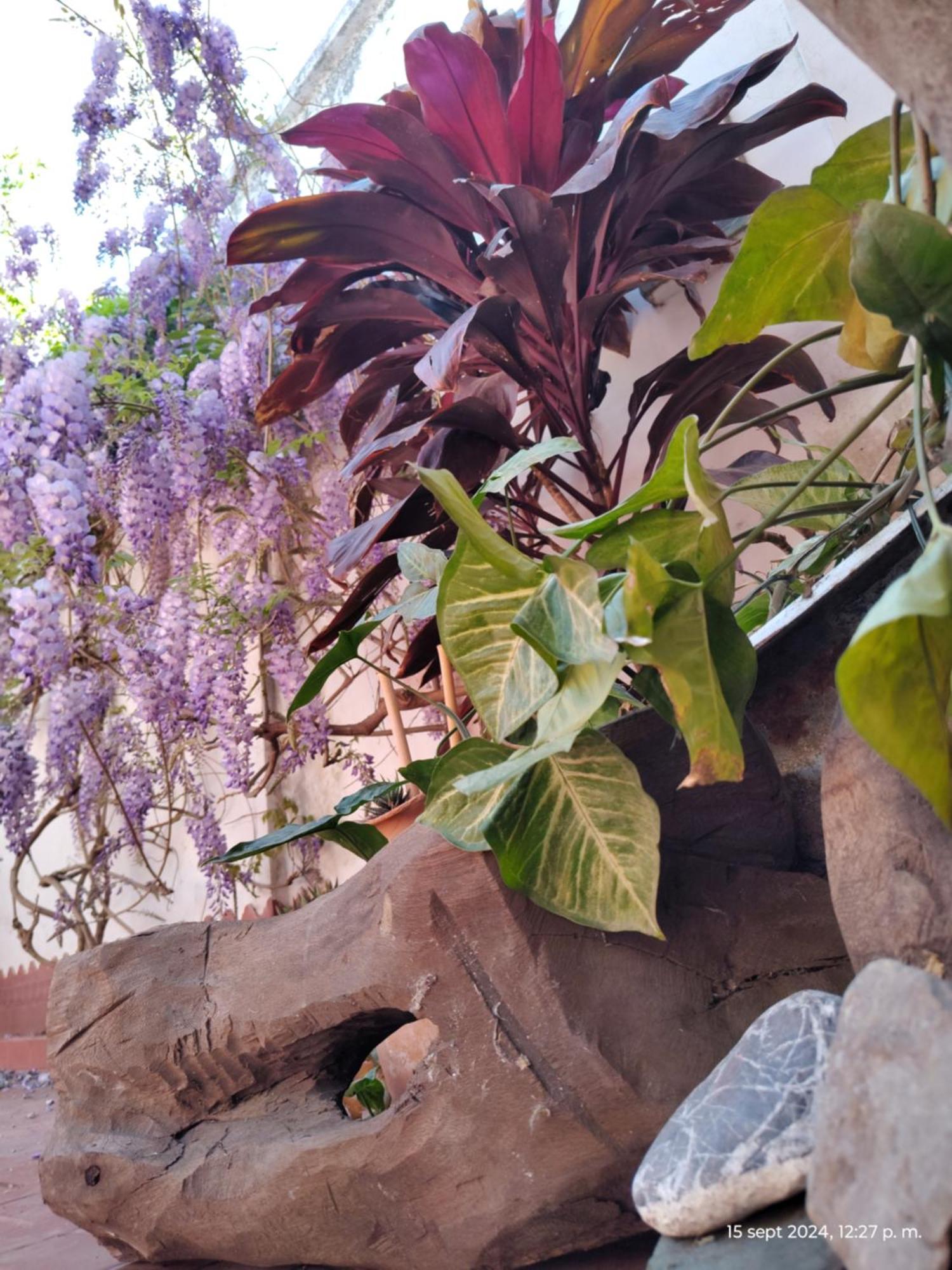 Casa Kuyay Villa San Salvador de Jujuy Exterior foto